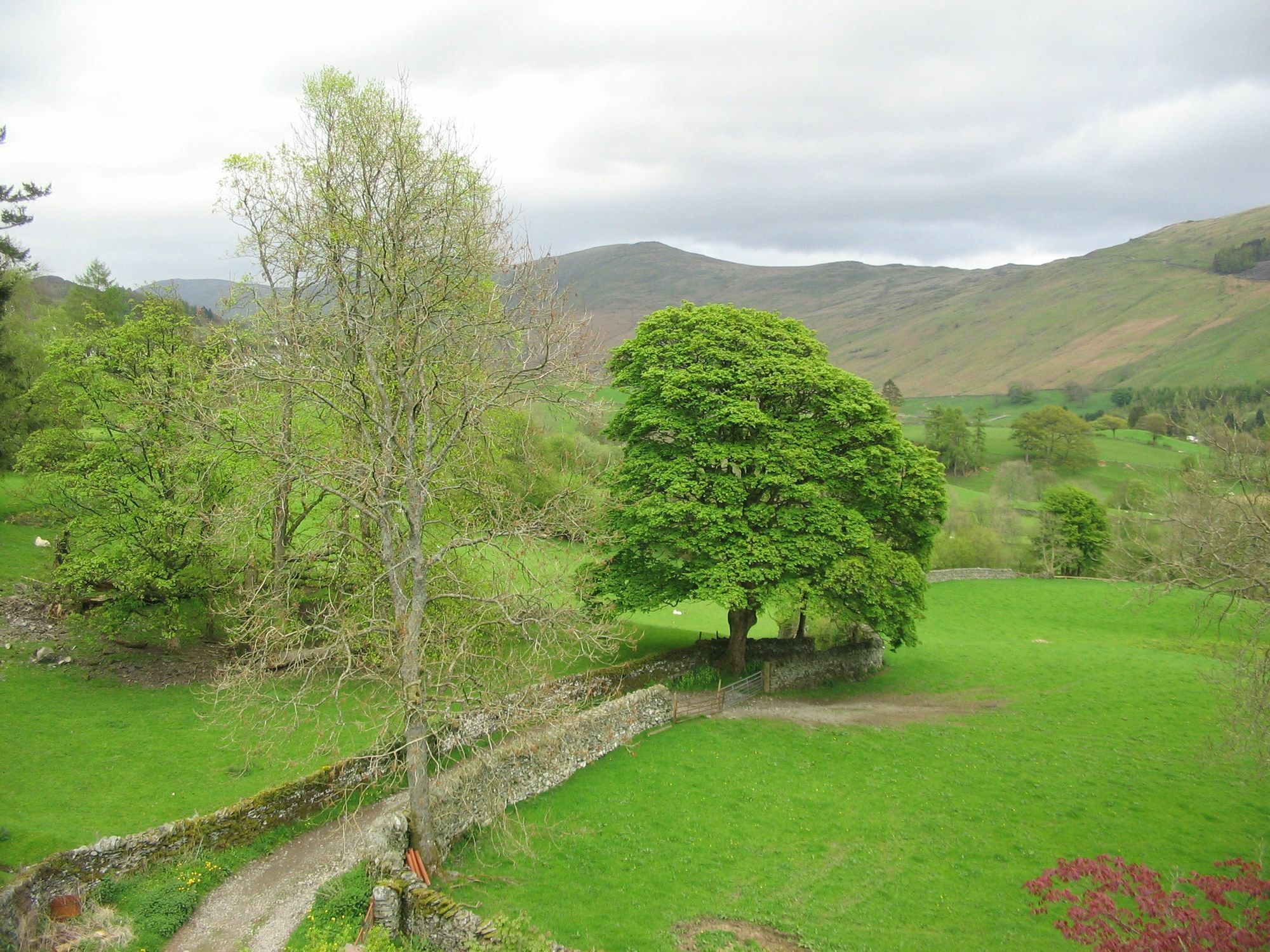 High Fold Guest House Troutbeck  Exterior foto
