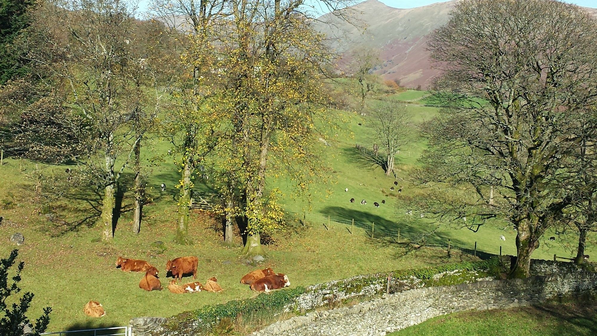 High Fold Guest House Troutbeck  Exterior foto
